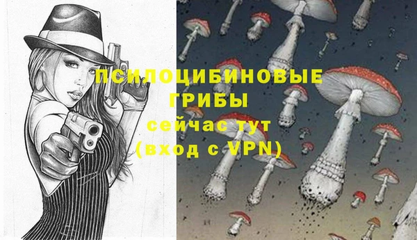a pvp Надым
