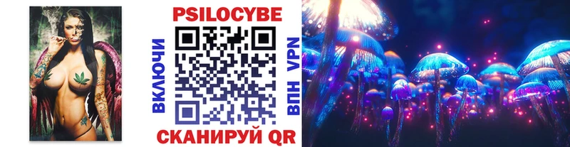 Галлюциногенные грибы Psilocybine cubensis Мосальск